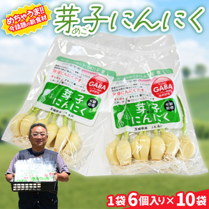 話題の新食材！芽子にんにく 1箱（1袋6個入り×10） 芽も根もまるごと食べられる！（KJ-3）