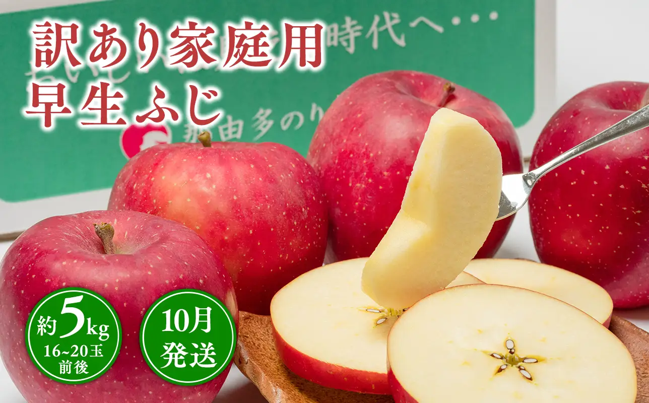 【レビューキャンペーン】10月発送 訳あり 家庭用 早生ふじ 約5kg 青森県平川市産[hi-0005-002]