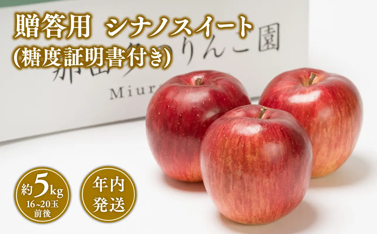 【レビューキャンペーン】10~12月発送 贈答用 糖度証明書付 シナノスイート 約5kg[hi-0005-020]