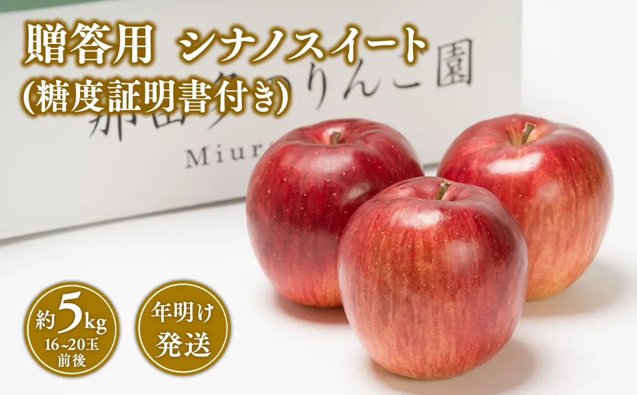 【レビューキャンペーン】1~2月発送 贈答用 糖度証明書付 シナノスイート 約5kg[hi-0005-041]