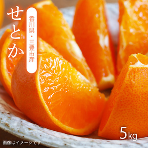 せとか 三豊市産 約5kg