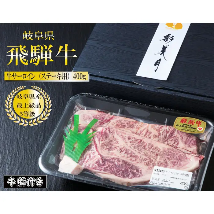 A5等級 飛騨牛サーロインステーキ400g（200g×2枚）（牛脂付き） [No.946]
