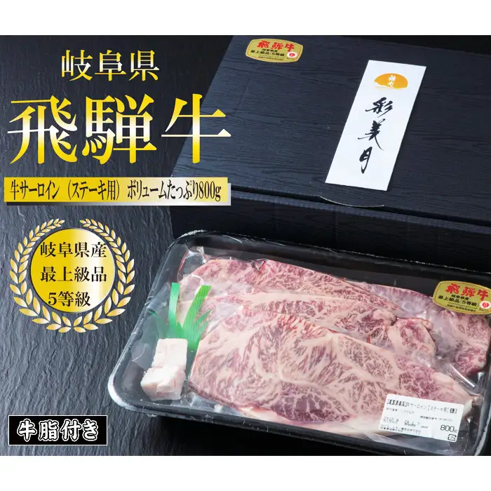 A5等級 飛騨牛サーロインステーキ800g（200g×4枚）（牛脂付き） [No.950]