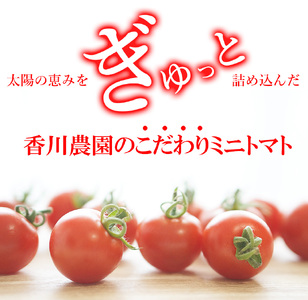 ミニトマト3kg