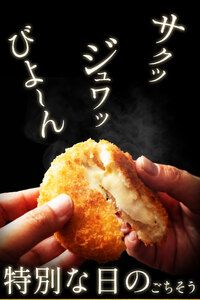 コロッケチーズシリーズ定期便(12回)