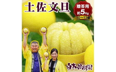 【先行予約】【果樹園直送】土佐文旦 特選品贈答用 約5kg L〜2Lサイズ 10〜13個入り〈2027年2月中旬〜3月下旬頃発送〉  /  ぶんたん ブンタン フルーツ 柑橘 みかん 果物 くだもの 柑橘類 デザート おやつ【白木果樹園】 [BQAI006]