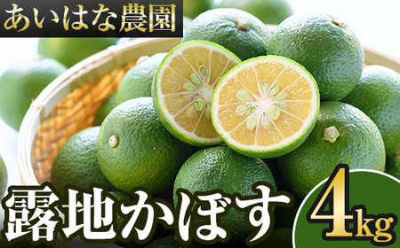 ＜先行予約受付中！2026年8月上旬以降順次発送予定＞露地カボス(約4kg)かぼす カボス 柑橘 特産品 大分県産【107100303】【あいはな農園】