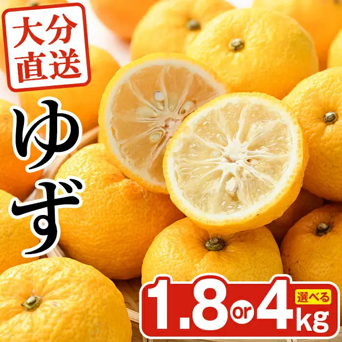 ＜先行予約受付中！2026年11月上旬以降順次発送予定＞柚子(約1.8kg)かんきつ 柑橘 期間限定 おもとの丘【111300601】【未来農林】