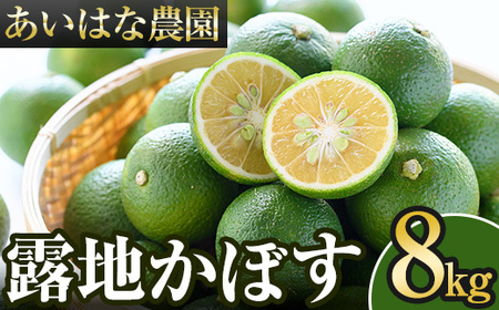 ＜先行予約受付中！2026年8月上旬以降順次発送予定＞露地カボス(約8kg)かぼす カボス 柑橘 特産品 大分県産【107100703】【あいはな農園】