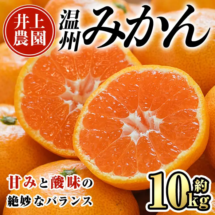 ＜先行予約受付中！12月上旬より順次発送予定＞数量限定 大分県宇佐市産 温州みかん(約10kg)みかん ミカン 蜜柑 柑橘 フルーツ 果物 くだもの 果実 国産【103620400】【井上農園】