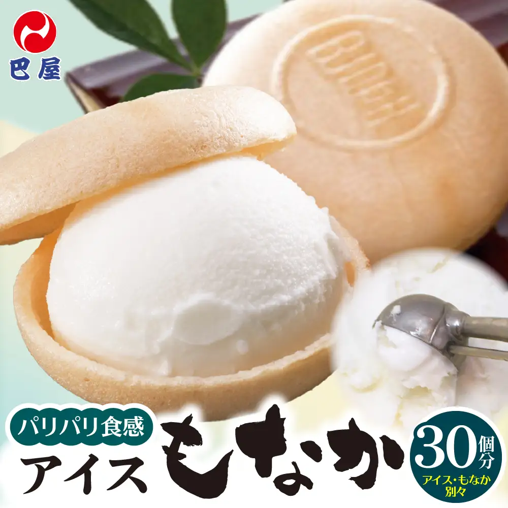 アイスもなか30個セット　お取り寄せ おやつ デザート スイーツ お土産 巴屋  ku067-001-r