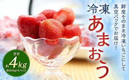 福岡県産 冷凍あまおう 4kg （800g×5パック）あまおう いちご 苺 イチゴ フルーツ 果物