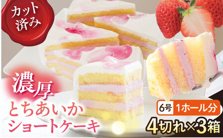 【訳あり】ドルチェケーキ とちあいかショート ケーキ 計12個（4個×3箱）【ファミール製菓株式会社】 [AKCI022]