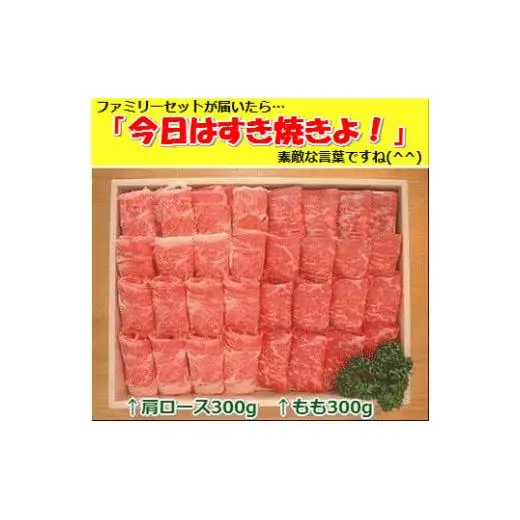 石垣牛・すき焼きファミリーセット300g×2種 計600g もも+肩ロース 　  SI-085