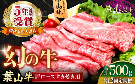 【全12回定期便】葉山牛肩ロースすき焼き用 250g×2パック 小分け 牛肉 すきやき 冷凍  計500g【株式会社羽根】 [AKAG038]