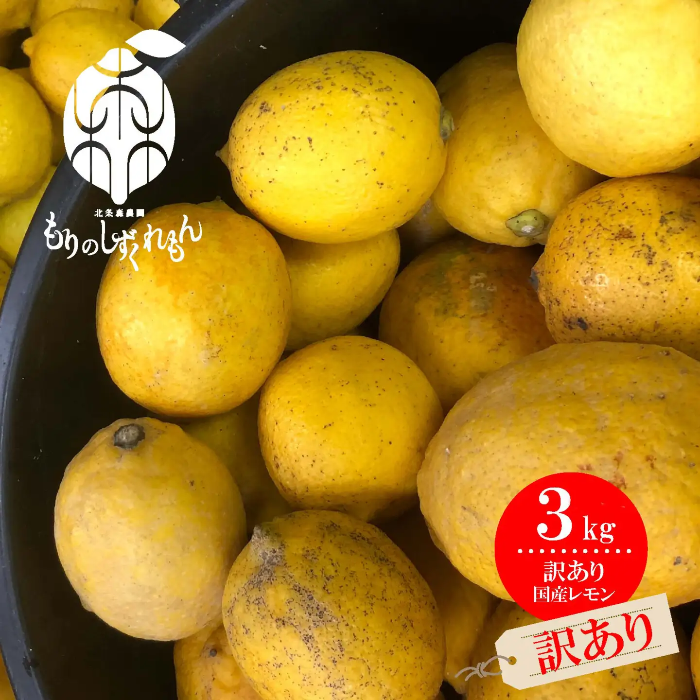 【2027年1月頃から順次発送】【訳あり】 数量限定 もりのしずくれもん 3kg 国産 レモン 先行予約  檸檬 レモン果汁 酸味 果物 ビタミン 健康 フルーツ 柑橘 農家直送 産地直送 数量限定 国産 愛媛 松山 レモン レモンサワー ジュース チューハイ 果物 くだもの 果実 国産 フルーツ 有名 愛媛 みかん 愛媛県産 瀬戸内 ビタミン レモン れもん デザート スイーツ 人気 おすすめ【HMN005_A1】