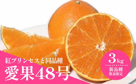 【2027年3月上旬頃から順次発送】 数量限定 愛果48号 約3kg 愛媛 あいか 柑橘 あいか えひめ あいか くだもの あいか 松山 あいか みかん あいか 北条 あいか フルーツ あいか M～2L 混合 あいか【HMN0071】