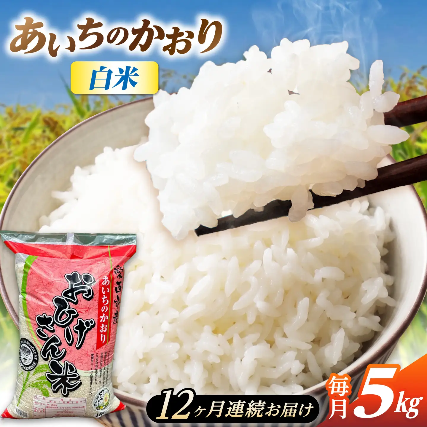 【12回定期便】あいちのかおり 白米 5kg×12か月 / 脇野コンバイン[AECP006]
