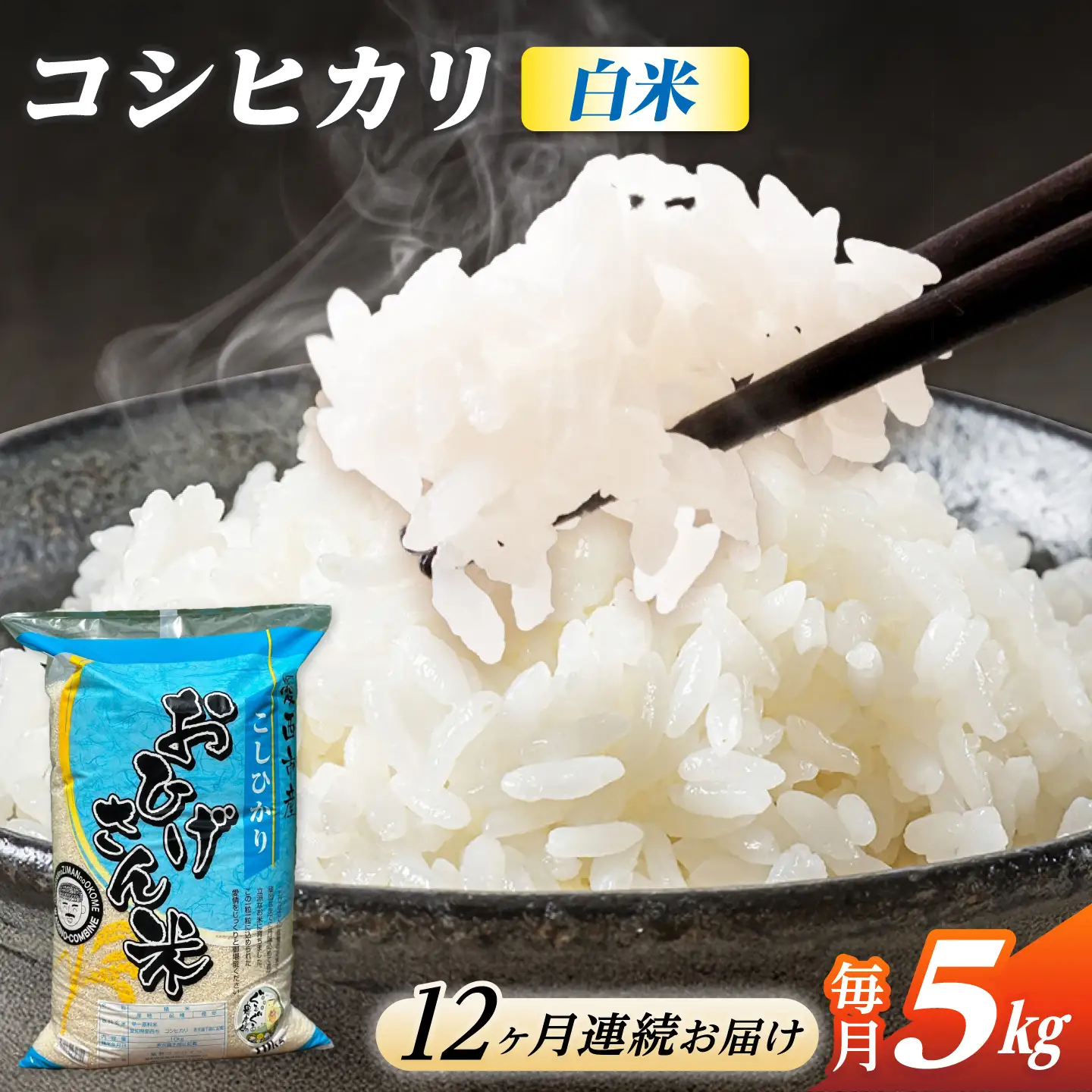 【12回定期便】コシヒカリ 白米 5kg×12か月 / 脇野コンバイン[AECP026]