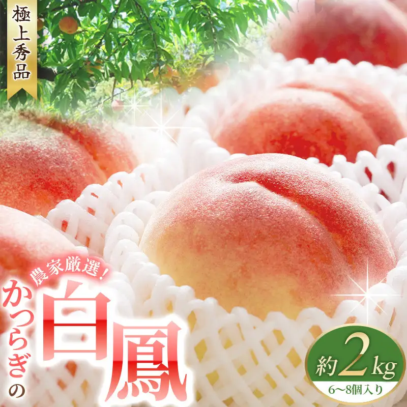 桃の王様 白鳳 特秀品 約2kg 桃【kgr009A】