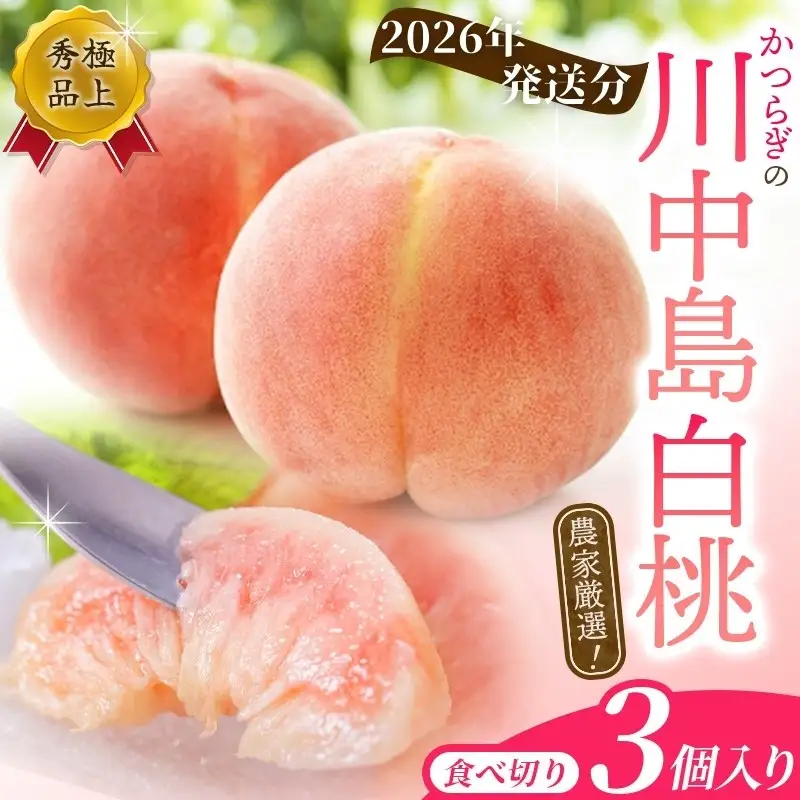 桃 川中島白桃 和歌山産の桃 大玉特秀品 食べきり3玉【kgr012】