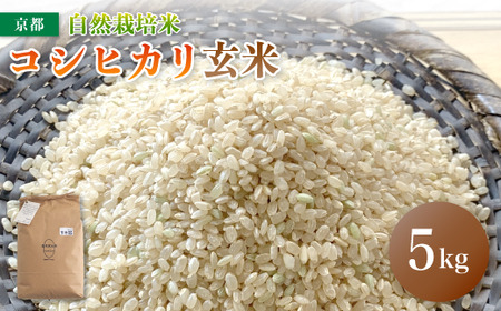 令和7年度産 自然栽培米 こしひかり 5kg 玄米 玄米 お米