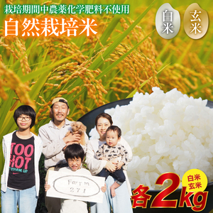 令和7年産 自然栽培米 コシヒカリ 4kg（白米2kg・玄米2kg）