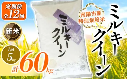 【令和8年産 新米 先行予約】 【金賞受賞農家】 《定期便12回》 特別栽培米 ミルキークイーン 5kg×12か月 《令和8年9月下旬～発送》 『あおきライスファーム』 山形南陽産 米 白米 精米 ご飯 農家直送 山形県 南陽市 [1615-R8]