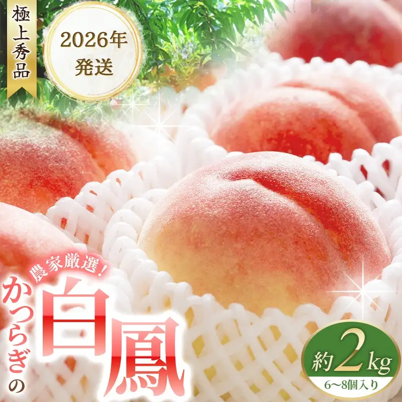 【予約受付】桃の王様 白鳳 特秀品 約2kg（6個~9個） 【2026年6月末頃～2026年7月末頃に順次発送予定】（お届け日指定不可）/ 桃 もも 白鳳 フルーツ 果物 くだもの 【kgr009A】
