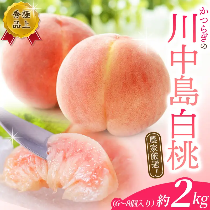 桃 白桃 川中島白桃　約2kg 6～8個入【秀品】【BK013-kgr011A】