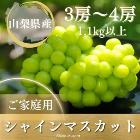 【2026年発送】ご家庭用シャインマスカット 3房～4房1.1kg以上 山梨県 山梨市産【配送不可地域：離島】【1535964】