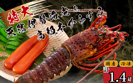 【 からすみ 】 からすみと伊勢海老2匹