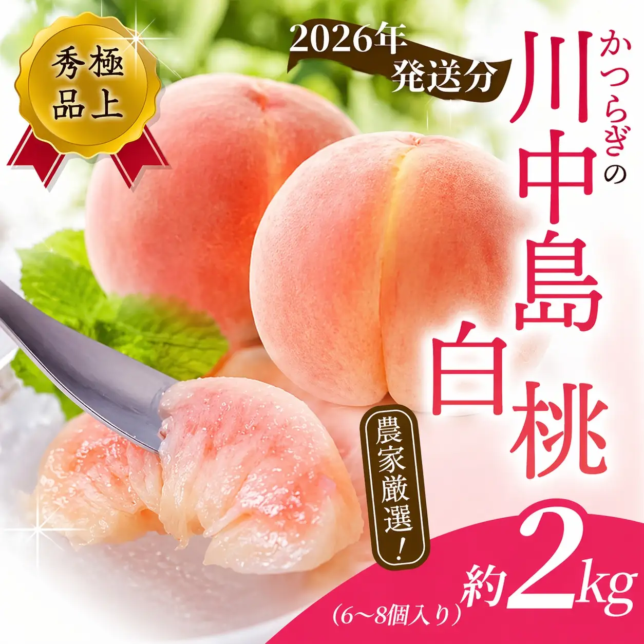 【予約受付】こだわり農家厳選 川中島白桃 和歌山産の桃 大玉特秀品 約2kg（6個~9個） 【2026年7月末頃～2026年8月末頃に順次発送予定】（お届け日指定不可）/ 桃 もも 川中島 白桃 フルーツ 果物 くだもの 【kgr011A】
