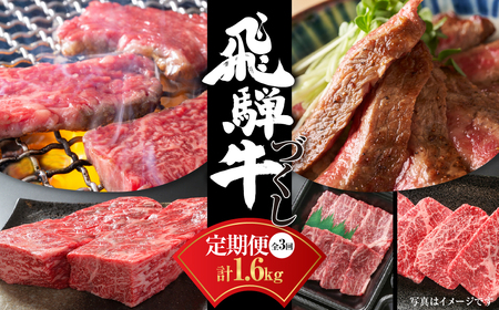 【定期便】飛騨牛 全3回 計1.6kg 飛騨牛 [MZ101]