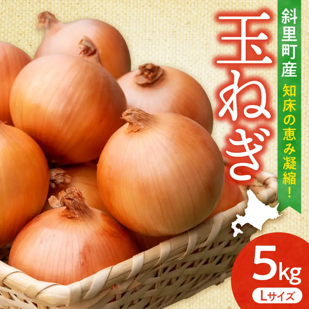 【先行予約】産地直送 知床の恵み凝縮!斜里の玉葱Lサイズ5kg　産地直送 タマネギ
