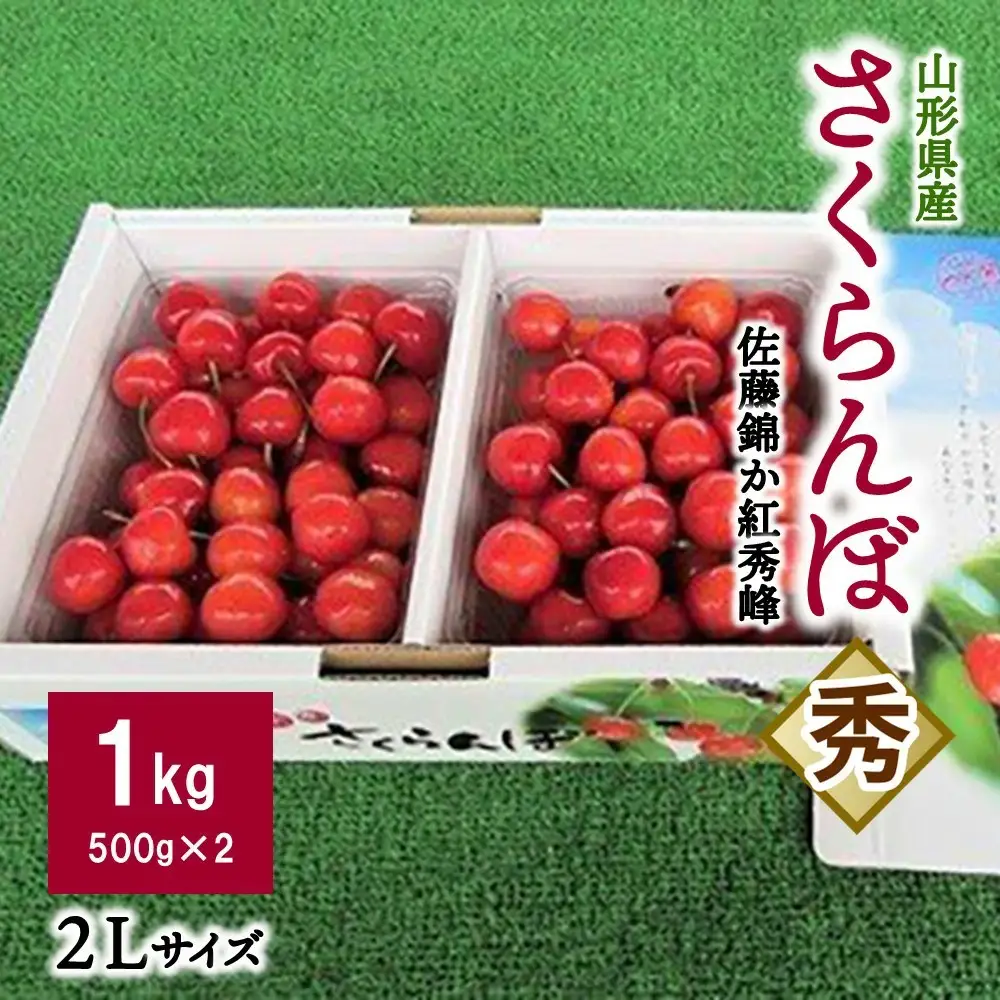 さくらんぼ（佐藤錦か紅秀峰）１ｋｇ　２Ｌサイズ　0032-2602