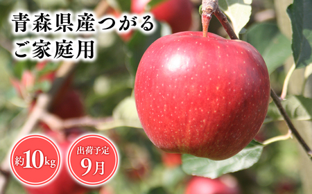 【レビューキャンペーン】2026年産9月発送　【訳あり】家庭用つがる10ｋｇ　【そと川りんご園・9月・青森県産・平川市・りんご・つがる・10ｋｇ・訳あり・家庭用】りんご リンゴ 林檎 りんご 青森 平川市産 [hi-0053-013]