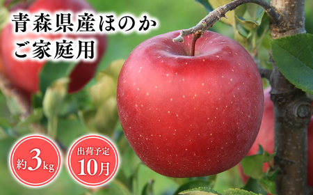【レビューキャンペーン】2026年産１０月発送　【訳あり】家庭用ほのか3ｋｇ　【そと川りんご園・１０月・青森県産・平川市・りんご・ほのか・3ｋｇ・訳あり・家庭用】りんご リンゴ 林檎 りんご 青森 平川市産 [hi-0053-017]