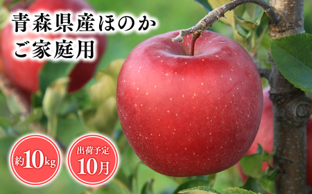 【レビューキャンペーン】2026年産１０月発送　【訳あり】家庭用ほのか10ｋｇ　【そと川りんご園・１０月・青森県産・平川市・りんご・ほのか・10ｋｇ・訳あり・家庭用】りんご リンゴ 林檎 りんご 青森 平川市産 [hi-0053-019]