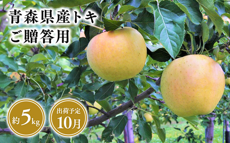【レビューキャンペーン】2026年産１０月発送　贈答用トキ5ｋｇ　【そと川りんご園・１０月・青森県産・平川市・りんご・トキ・5ｋｇ・贈答用】りんご リンゴ 林檎 りんご 青森 平川市産 [hi-0053-021]