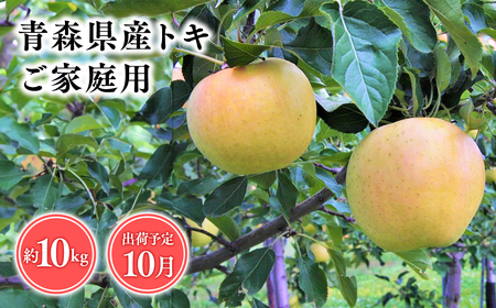 【レビューキャンペーン】2026年産１０月発送　【訳あり】家庭用トキ10ｋｇ　【そと川りんご園・１０月・青森県産・平川市・りんご・トキ・10ｋｇ・訳あり・家庭用】りんご リンゴ 林檎 りんご 青森 平川市産 [hi-0053-025]
