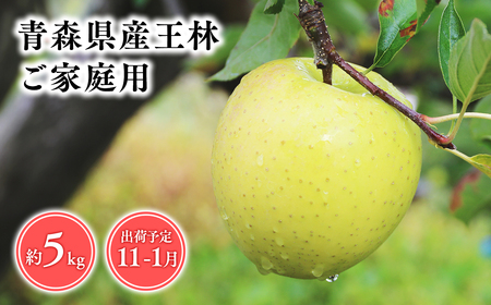 【レビューキャンペーン】2026年産 １１月～１月発送　【訳あり】家庭用王林5ｋｇ　【そと川りんご園・１１月・１２月・１月・青森県産・平川市・りんご・王林・5ｋｇ・訳あり・家庭用】りんご リンゴ 林檎 りんご 青森 平川市産 [hi-0053-048]