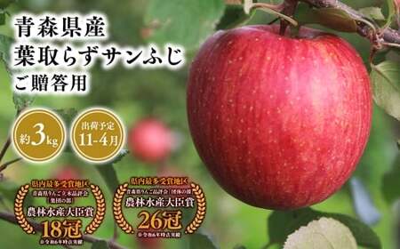 2026年産１１月～４月発送　贈答用葉とらずサンふじ3kg【青森県 平川市 そと川りんご園】１１月～４月発送 贈答 青森 青森県産 平川 葉とらず サンふじ ふじ りんご リンゴ 林檎 くだもの 果物 フルーツ 