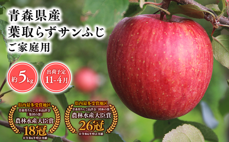 【レビューキャンペーン】2025年産１１月～４月発送　【訳あり】家庭用葉とらずサンふじ5ｋｇ　【そと川りんご園・１１月・１２月・１月・２月・３月・４月・青森県産・平川市・りんご・葉とらずサンふじ・5ｋｇ・訳あり・家庭用】りんご リンゴ 林檎 りんご 青森 平川市産 [hi-0053-054]