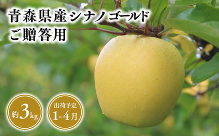 【レビューキャンペーン】2026年産 １月～４月発送　贈答用シナノゴールド3ｋｇ　【そと川りんご園・１月・２月・３月・４月・青森県産・平川市・りんご・シナノゴールド・3ｋｇ・贈答用】りんご リンゴ 林檎 りんご 青森 平川市産 [hi-0053-062]