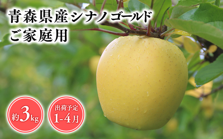 【レビューキャンペーン】2025年産 １月～４月発送　【訳あり】家庭用シナノゴールド3ｋｇ　【そと川りんご園・１月・２月・３月・４月・青森県産・平川市・りんご・シナノゴールド・3ｋｇ・訳あり・家庭用】りんご リンゴ 林檎 りんご 青森 平川市産 [hi-0053-065]