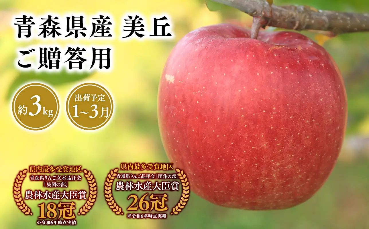 【レビューキャンペーン】2027年1～3月発送　贈答用美丘3kg【青森県 平川市 そと川りんご園】[hi-0053-068]