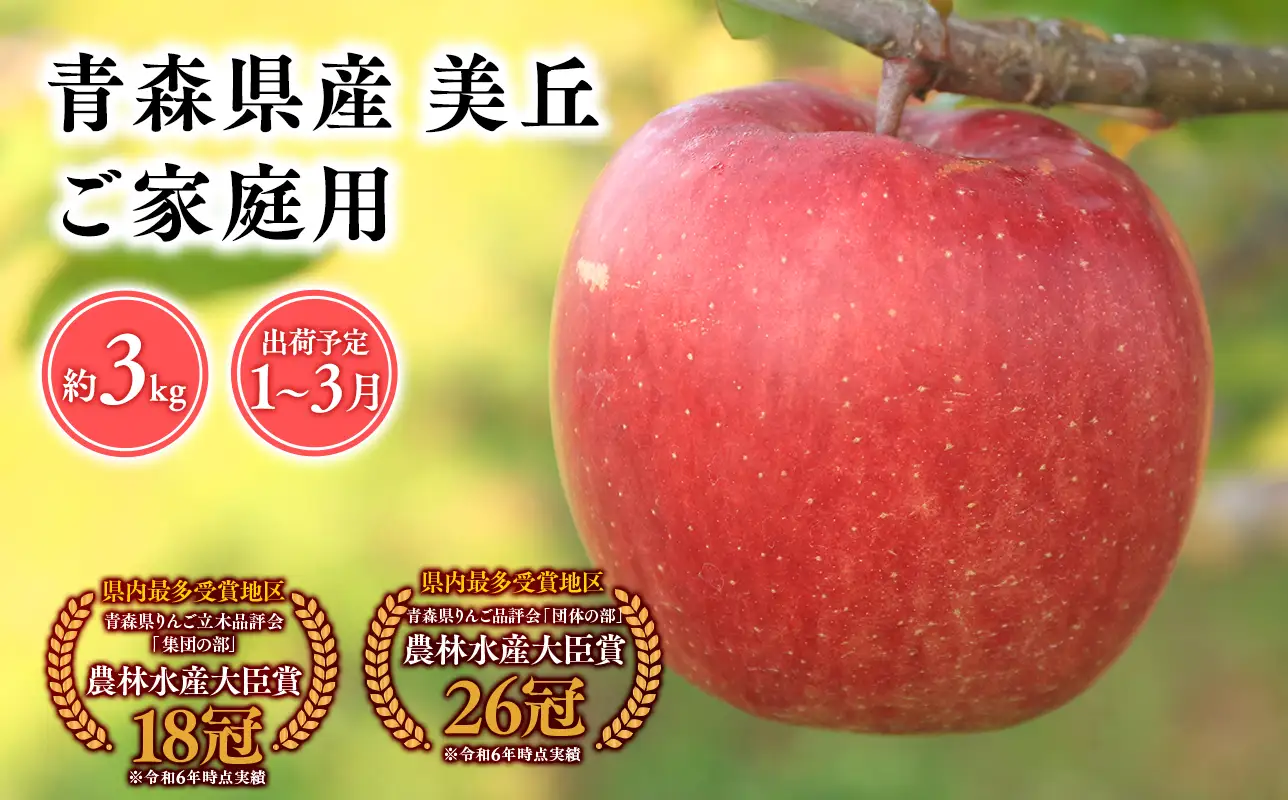【レビューキャンペーン】2027年1～ 3月発送　【訳あり】家庭用美丘3kg【青森県 平川市 そと川りんご園】 [hi-0053-071]