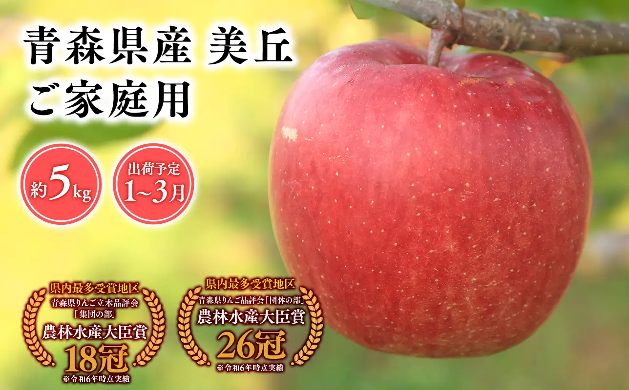 【レビューキャンペーン】2027年1～3月発送　【訳あり】家庭用美丘5kg【青森県 平川市 そと川りんご園】[hi-0053-072]