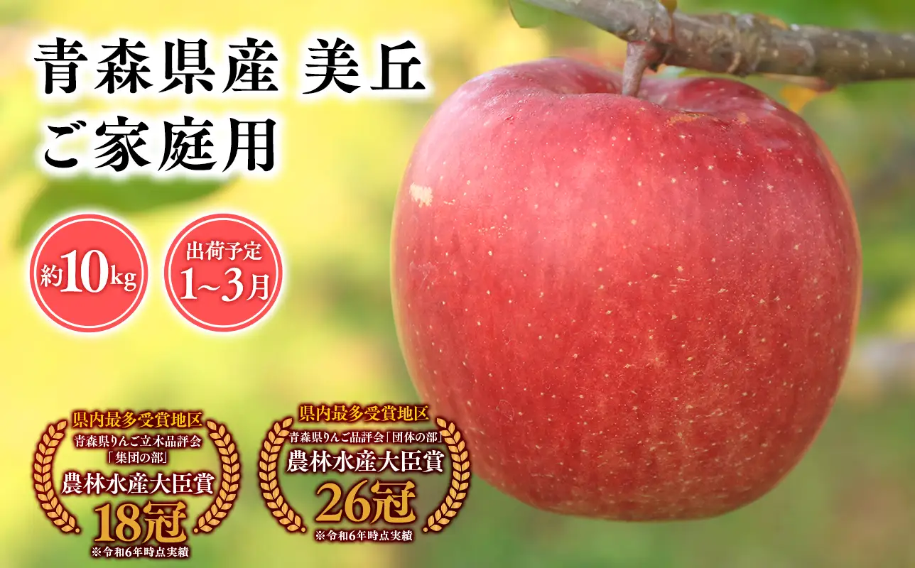 【レビューキャンペーン】2027年1～3月発送　【訳あり】家庭用美丘10kg【青森県 平川市 そと川りんご園】[hi-0053-073]